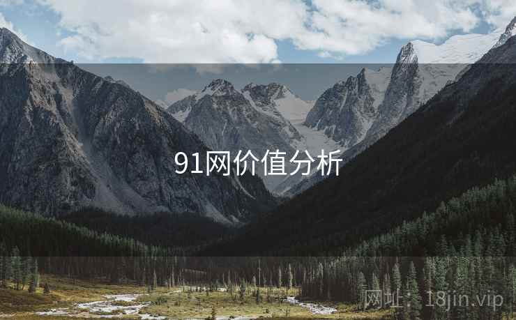 91网价值分析
