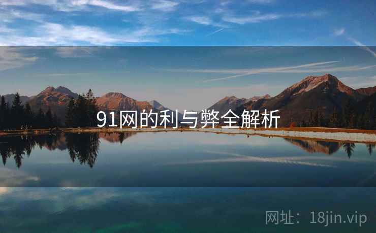91网的利与弊全解析