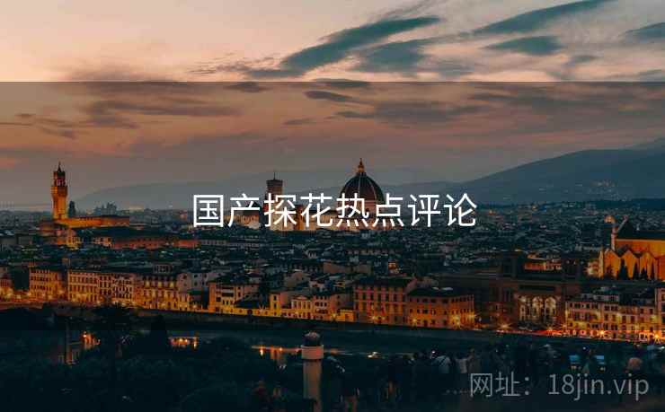 国产探花热点评论