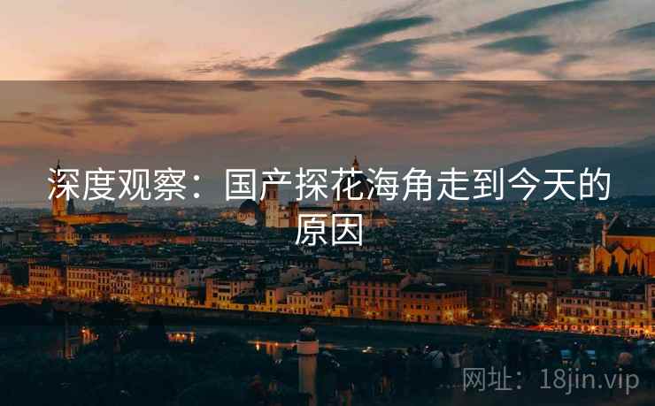 深度观察：国产探花海角走到今天的原因