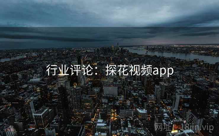 行业评论：探花视频app