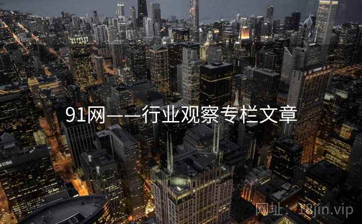 91网——行业观察专栏文章