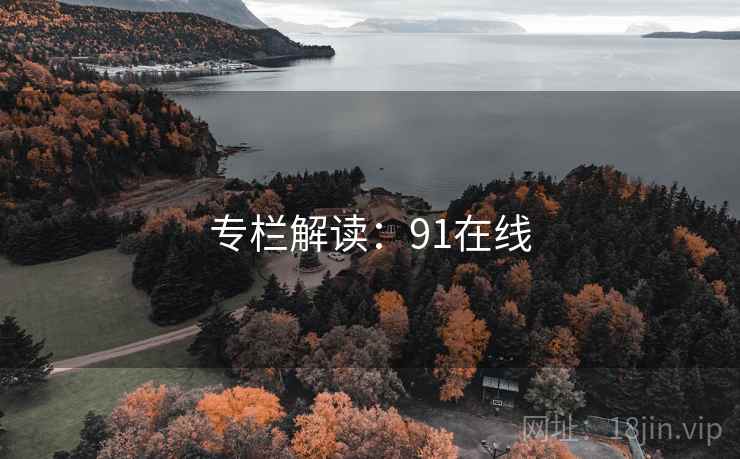 专栏解读：91在线